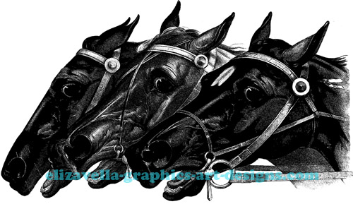  3 horse heads rodeo western art printable