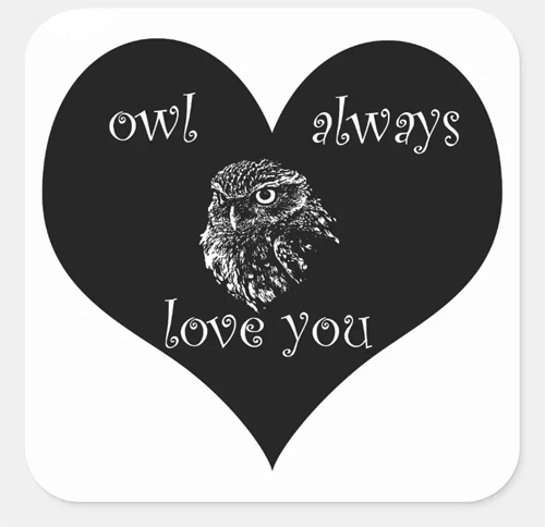 Owl Always Love You Romance Heart Art Square Sticker